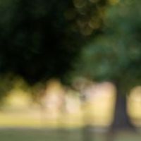 Exact extraction crop